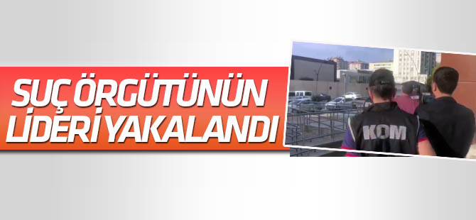Suç örgütünün lideri de yakalandı