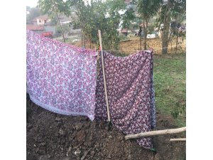 Anne bahçesinde define avcılığı