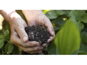 Trabzon’un 2019 yılı toprak verimlilik raporu açıklandı