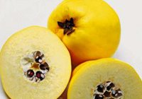 Şifa kaynağı ayva