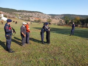 Kaybolan büyükbaş hayvanları jandarma buldu
