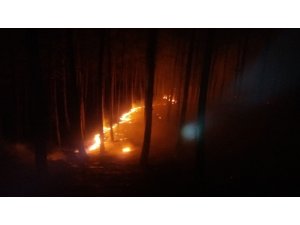 Köyceğiz de orman yangını