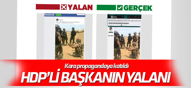 HDP Bismil İlçe Başkanı'ndan harekatla ilgili kara propaganda