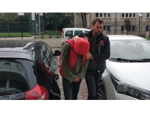 Samsun’da bonzai üretimiyle ilgili 1 kişi tutuklandı