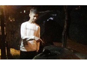 Tandırda yanmış köpek yavrusu bulundu