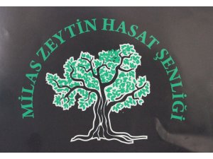 Milas 6. Zeytin Hasat Şenliği 2 - 3 Kasım’da yapılacak