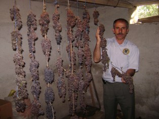 Geçen yılın kilerde saklanan yaş üzümünü yiyorlar