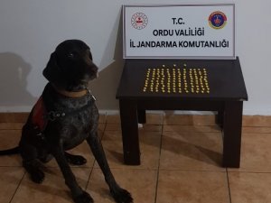 Ordu’da uyuşturucuya geçit yok