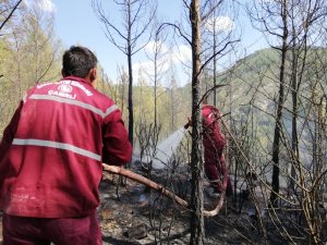 Denizli’de orman yangını