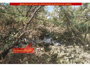 Diyarbakır’da terörün finans kaynağına büyük darbe