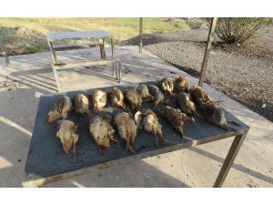 Tercan’da avlanma limitlerine uymayan 2 avcıya 9 bin 346 TL para cezası