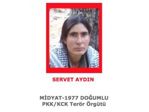 Kırmızı kategorideki iki terörist etkisiz hale getirildi