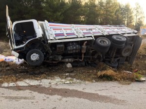 Yoldan çıkan kamyon devrildi: 2 yaralı