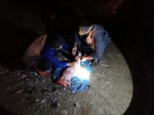 Kirpi avlayan 2 kişiye 8 bin TL para cezası