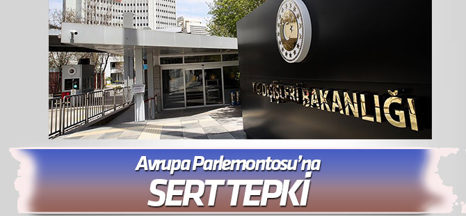 Türkiye'den AP'nin Barış Pınarı Harekatı kararına tepki