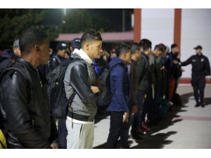 Edirne'de 252 düzensiz göçmen yakalandı