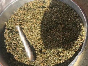 Manisa’da jandarma uyuşturucu tacirlerine göz açtırmıyor