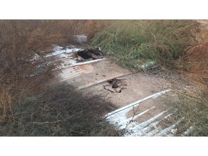 Foseptik kuyusuna düşen çocuk hayatını kaybetti