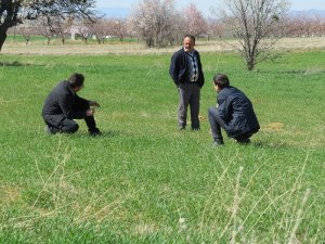 Yalıhüyüklü çiftçilere afet yardımı yapıldı