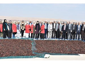 Şanlıurfa Teknokent İstihdama Yönelik Projelerle Öne Çıkıyor