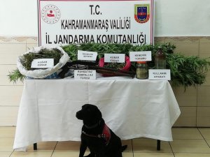 Elbistan’da uyuşturucu operasyonu