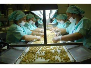 Avrupa’ya dokuz ayda yaklaşık 8 bin 392 ton iç fındık ihraç edildi