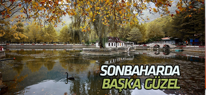 Kuğulu Milli Parkı sonbahar görüntüsüyle büyülüyor