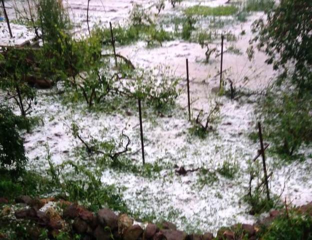 Seydişehir'de zarar gören çiftçilere afet yardımı yapıldı