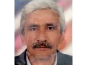 Kestiği ağaç üzerine devrildi