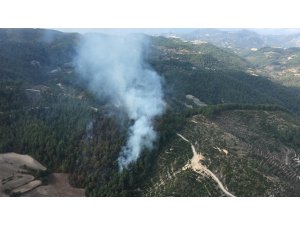 Osmaniye'de orman yangını