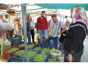 Zeytin satıcıları damlama sulama sisteminden şikayetçi