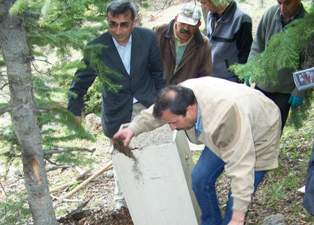 Ormanlara böcek düşmanı karıncalar bırakıldı
