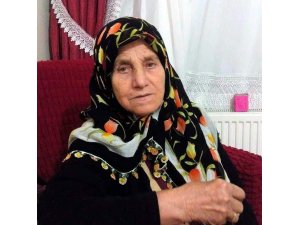 Kastamonu’da mantardan zehirlenen yaşlı kadın hayatını kaybetti