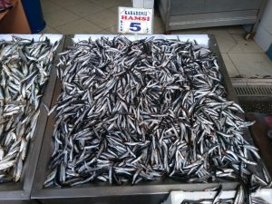 Yozgat’ta hamsinin kilosu 5 liraya düştü