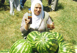 Karpuzdan pekmez yaptı