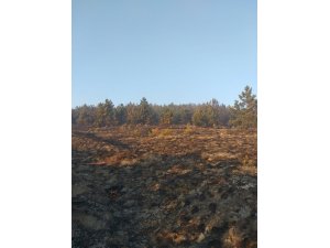 Eskişehir’de orman yangını