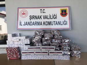 Şırnak’ta uyuşturucu ve kaçakçılık operasyonu: 40 gözaltı