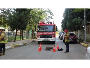 Tuzla’da çevreye yayılan kötü kokunun sağlığa zararlı olmadığı anlaşıldı