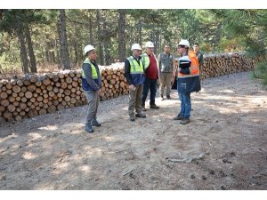 Orman Bölge Müdürü Keskin: "Üretimde öncelik kalitedir"