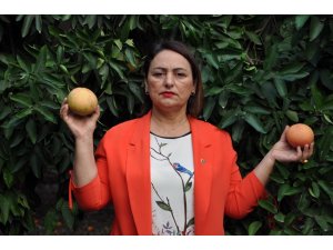 "Ulusal Narenciye Enstitüsü" için kanun teklifi