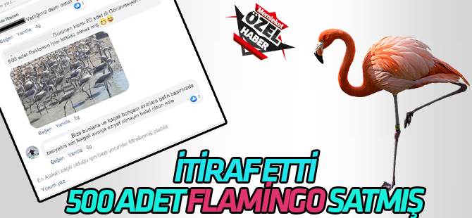 DKMP 8. Bölge’nin paylaşımına itiraf etti  500 adet flamingo satmış