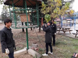 Sokak hayvanları için özel barınak