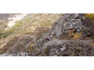 Dağda mahsur kalan keçileri AFAD kurtardı