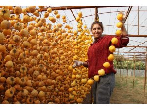 Kuru incire alternatif cennet elması kurusu