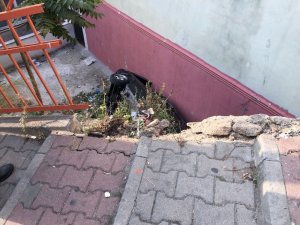 Kağıthane’de el freni boşalan otomobil 5 metreden aşağıya uçtu