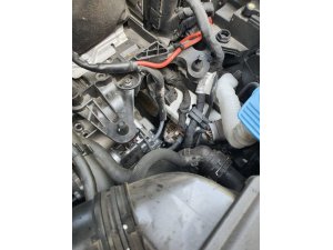 Otomobilin motor kısmına sıkışan yavru kediyi itfaiye kurtardı