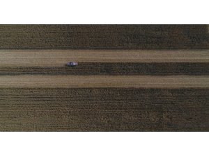 Arpa ve buğdayın yerini mısır aldı