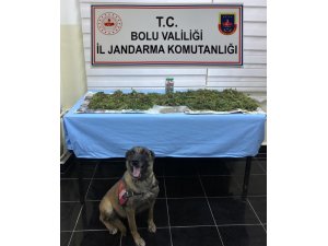 Bolu’da, uyuşturucu operasyonu: 1 gözaltı