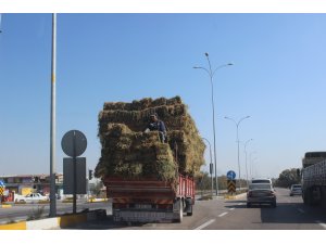 Balya üzerinde tehlikeli yolculuk