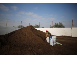 Gazze'de zeytin çekirdeği ve posasından yakıt üretiliyor